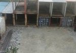 Бо це київські трущоби Мумбаї! Бо це київські трущоби Мумбаї!